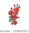 Red Roses With Dew Drops. Symbol Of Love And Romance In Nature Illustration Isolated On Transparent Background 129022973