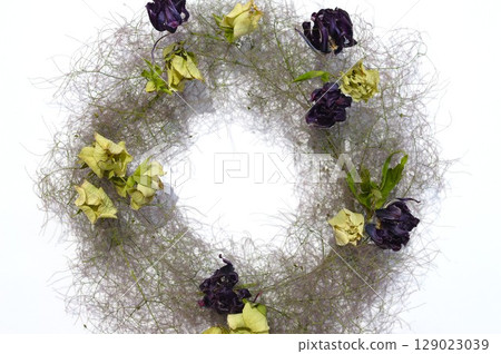 Dried flower arrangement of Christmas rose and smoke tree 129023039