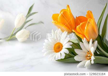Fresh Tulips and Daisies with Water Droplets on a Bright Surface for Spring Aesthetic Fresh Tulips and Daisies with Water Droplets on a Bright Surface for Spring Aesthetic 129023164