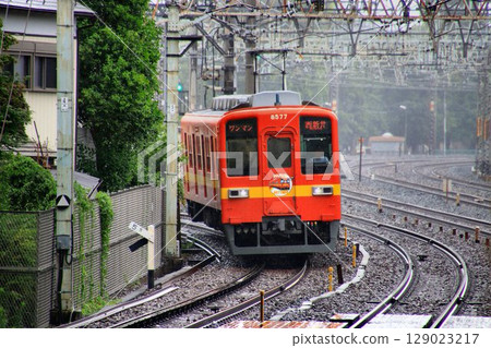 Farewell to the veteran commuter train... the 8000 series running smoothly on the Daishi Line 129023217