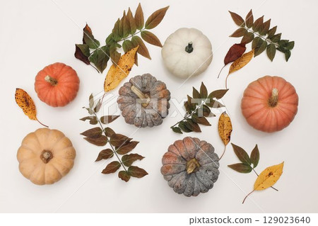 Beautiful flat lay autumn composition, still life. Colorful pumpkins, fall leaves isolated on white background. Thanksgiving, Halloween seasonal web banner. Fall promotions, greeting card design. Beautiful flat lay autumn composition, still life. Colorful pumpkins, fall leaves isolated on white background. Thanksgiving, Halloween seasonal web banner. Fall promotions, greeting card design. 129023640