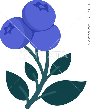 Hand Drawn Blueberry Branch with Ripe Berries and Leaves. Cute Botanical Illustration for Kitchen Decor, Packaging, Stickers, Labels, Logos, Farmers Market or Food Branding 129023761