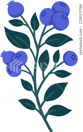 Hand Drawn Blueberry Branch with Ripe Berries and Leaves. Cute Botanical Illustration for Kitchen Decor, Packaging, Stickers, Labels, Logos, Farmers Market or Food Branding Hand Drawn Blueberry Branch with Ripe Berries and Leaves. Cute Botanical Illustration for Kitchen Decor, Packaging, Stickers, Labels, Logos, Farmers Market or Food Branding 129023766