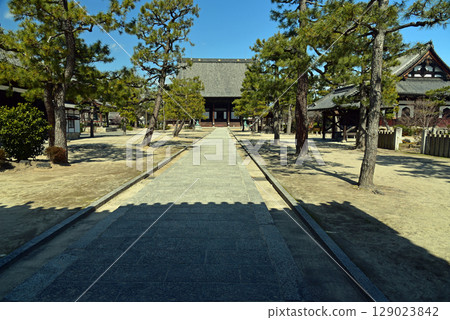 知恩寺的主殿在藍天的襯托下格外醒目 知恩寺的主殿在藍天的襯托下格外醒目 129023842