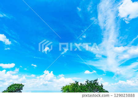 Blue sky, clouds and grove 129023888