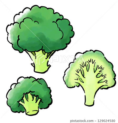 手繪西蘭花 手繪西蘭花 129024580