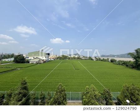 農村的房舍和種植的稻田 農村的房舍和種植的稻田 129024790