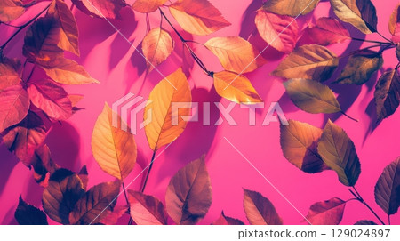 autumn leaves on pink background 129024897