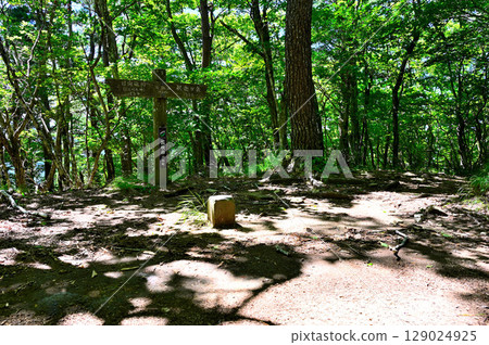 禦坂山脈的福摩山頂，森林之巔 129024925
