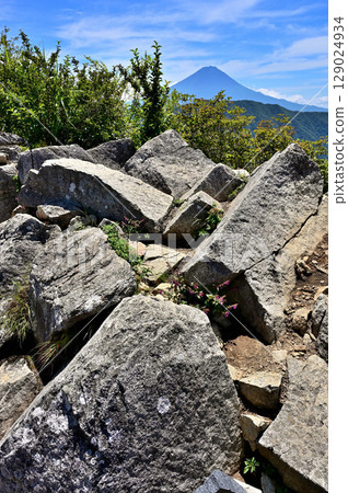 從禦坂山的釋迦岳岩石峰上眺望夏季的富士山 129024934