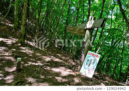 Shakagatake in the Misaka Mountains, Fuefuki City Trekking Course, Kamiashigawa Junction 129024942