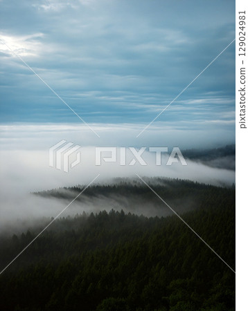 Fog Blankets the Forested Hills Under a Cloudy Sky in a Tranquil Landscape 129024981