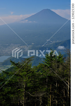 Mount Fuji as seen from the second terrace of the Fujiyama Twin Terraces at Shindo Pass in the Misaka Mountains Mount Fuji as seen from the second terrace of the Fujiyama Twin Terraces at Shindo Pass in the Misaka Mountains 129025390