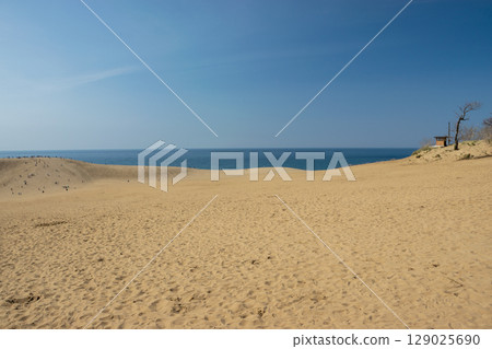 Tottori Prefecture: View of the Sea of Japan from the Tottori Sand Dunes 129025690