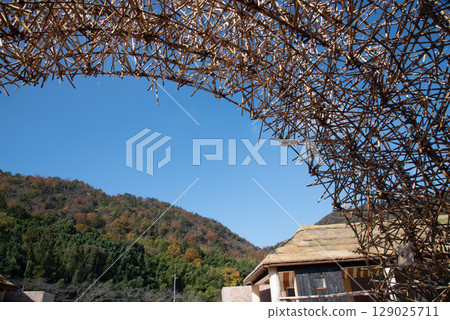 蘆葦隧道與藍天 蘆葦隧道與藍天 129025711