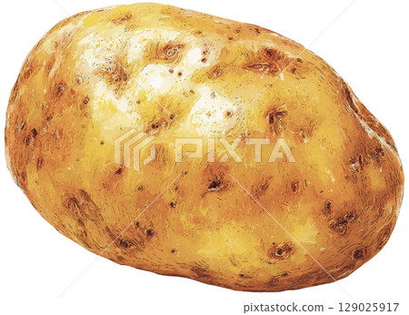 potato  129025917