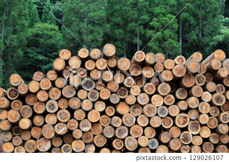 砍伐並堆疊的木材 129026107