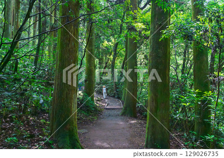 （新綠森林浴場）菊池溪谷（熊本縣菊池市原町） - 溪流與茂密森林的四季美景 129026735
