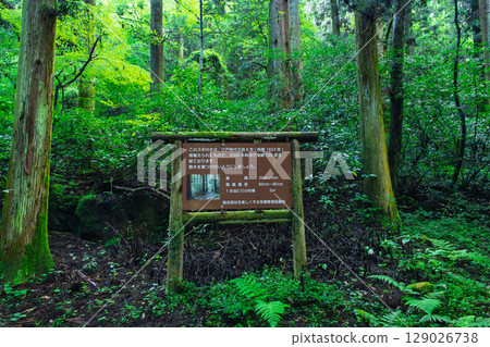 (Signboards and guide boards) Spectacular seasonal views of the river and lush forests of Kikuchi Valley (Hara, Kikuchi City, Kumamoto Prefecture) (Signboards and guide boards) Spectacular seasonal views of the river and lush forests of Kikuchi Valley (Hara, Kikuchi City, Kumamoto Prefecture) 129026738