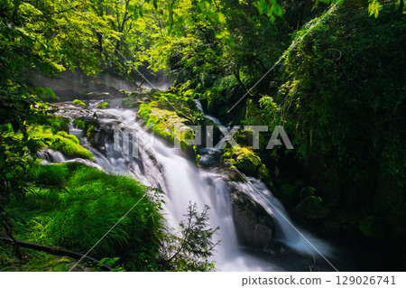 (新綠森林浴場)菊池溪谷(熊本縣菊池市原町) - 溪流與茂密森林的四季美景 (新綠森林浴場)菊池溪谷(熊本縣菊池市原町) - 溪流與茂密森林的四季美景 129026741