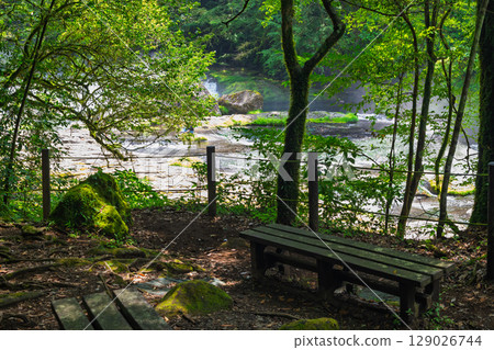(新綠森林浴場)菊池溪谷(熊本縣菊池市原町) - 溪流與茂密森林的四季美景 (新綠森林浴場)菊池溪谷(熊本縣菊池市原町) - 溪流與茂密森林的四季美景 129026744