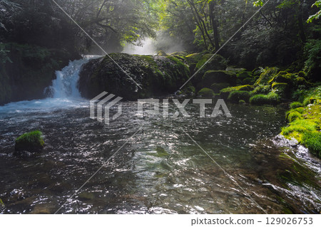 (Fresh greenery and forest bathing spot) Kikuchi Valley (Hara, Kikuchi City, Kumamoto Prefecture) - Spectacular seasonal views of the stream and lush forest (Fresh greenery and forest bathing spot) Kikuchi Valley (Hara, Kikuchi City, Kumamoto Prefecture) - Spectacular seasonal views of the stream and lush forest 129026753