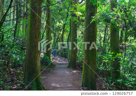 (Fresh greenery and forest bathing spot) Kikuchi Valley (Hara, Kikuchi City, Kumamoto Prefecture) - Spectacular seasonal views of the stream and lush forest 129026757