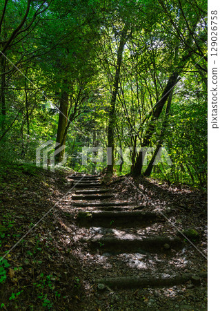 （新綠森林浴場）菊池溪谷（熊本縣菊池市原町） - 溪流與茂密森林的四季美景 129026758