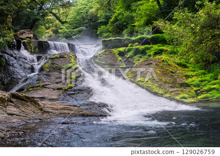 （新綠森林浴場）菊池溪谷（熊本縣菊池市原町） - 溪流與茂密森林的四季美景 129026759