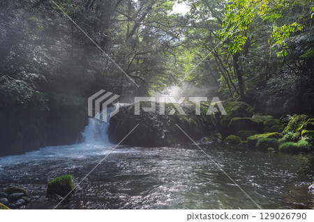(Fresh greenery and forest bathing spot) Kikuchi Valley (Hara, Kikuchi City, Kumamoto Prefecture) - Spectacular seasonal views of the stream and lush forest 129026790