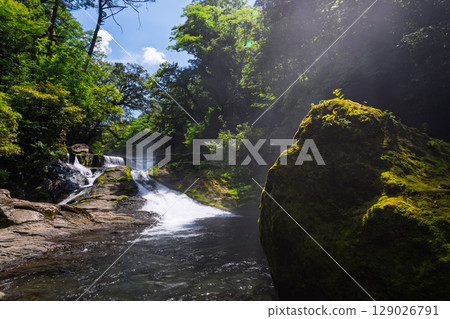 (Fresh greenery and forest bathing spot) Kikuchi Valley (Hara, Kikuchi City, Kumamoto Prefecture) - Spectacular seasonal views of the stream and lush forest (Fresh greenery and forest bathing spot) Kikuchi Valley (Hara, Kikuchi City, Kumamoto Prefecture) - Spectacular seasonal views of the stream and lush forest 129026791