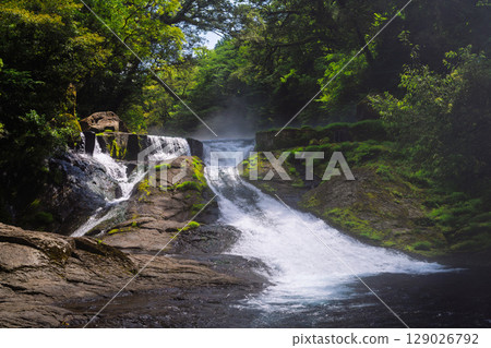 （新綠森林浴場）菊池溪谷（熊本縣菊池市原町） - 溪流與茂密森林的四季美景 129026792