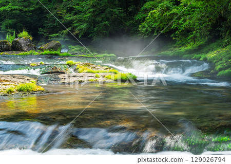 (Fresh greenery and forest bathing spot) Kikuchi Valley (Hara, Kikuchi City, Kumamoto Prefecture) - Spectacular seasonal views of the stream and lush forest 129026794