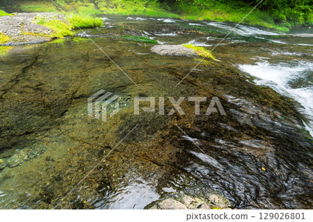 (Fresh greenery and forest bathing spot) Kikuchi Valley (Hara, Kikuchi City, Kumamoto Prefecture) - Spectacular seasonal views of the stream and lush forest 129026801