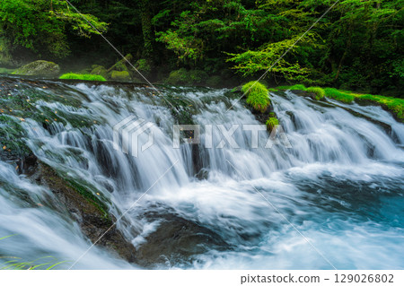 (Fresh greenery and forest bathing spot) Kikuchi Valley (Hara, Kikuchi City, Kumamoto Prefecture) - Spectacular seasonal views of the stream and lush forest 129026802