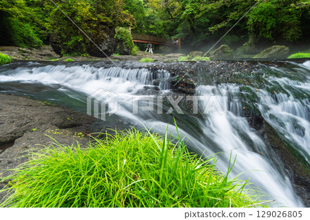 (Fresh greenery and forest bathing spot) Kikuchi Valley (Hara, Kikuchi City, Kumamoto Prefecture) - Spectacular seasonal views of the stream and lush forest 129026805
