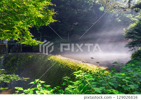 (Fresh greenery and forest bathing spot) Kikuchi Valley (Hara, Kikuchi City, Kumamoto Prefecture) - Spectacular seasonal views of the stream and lush forest 129026816