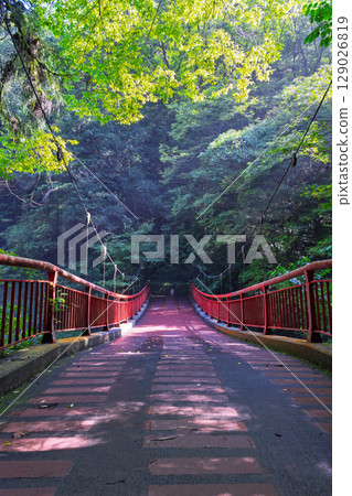 (Fresh greenery and forest bathing spot) Kikuchi Valley (Hara, Kikuchi City, Kumamoto Prefecture) - Spectacular seasonal views of the stream and lush forest 129026819