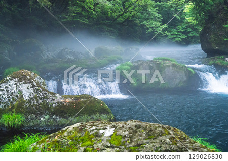 (Fresh greenery and forest bathing spot) Kikuchi Valley (Hara, Kikuchi City, Kumamoto Prefecture) - Spectacular seasonal views of the stream and lush forest 129026830