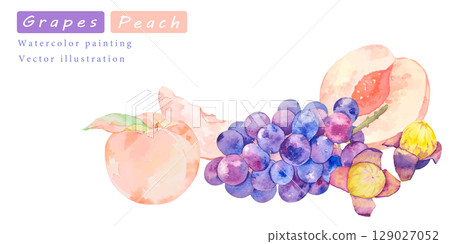 水彩葡萄和桃子向量插圖 129027052