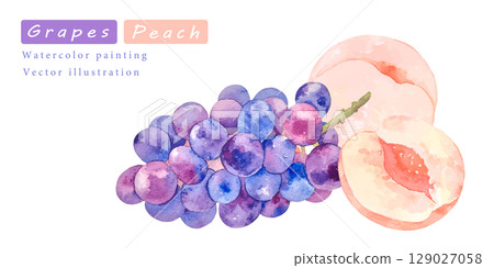 Watercolor grape and peach vector illustration Watercolor grape and peach vector illustration 129027058