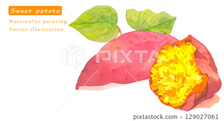 水彩紅薯矢量圖 129027061
