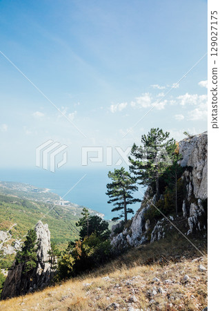 scenery on the sea, mountains and forest scenery on the sea, mountains and forest 129027175