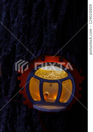 Unique and Captivating Illuminated Object Attached to a Tree Trunk Surrounded by Dark Background, Showcasing Intricate Designs and Warm Glow of Light at Night Time Unique and Captivating Illuminated Object Attached to a Tree Trunk Surrounded by Dark Background, Showcasing Intricate Designs and Warm Glow of Light at Night Time 129028809
