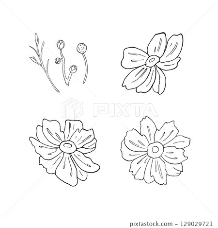 Set with buds of Japanese Anemone in graphic style. Flowers, twigs, petals hand drawn ink vector illustration, line art on white background for compositions design on holidays, decor design, textile Set with buds of Japanese Anemone in graphic style. Flowers, twigs, petals hand drawn ink vector illustration, line art on white background for compositions design on holidays, decor design, textile 129029721