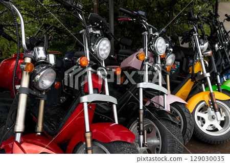 A Colorful Array of Scooters Highlighting the Diversity of Two-Wheeled Fun Amidst a Natural Backdrop in a Parked Setting 129030035