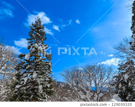 白雪皚皚,天空湛藍 白雪皚皚,天空湛藍 129030320