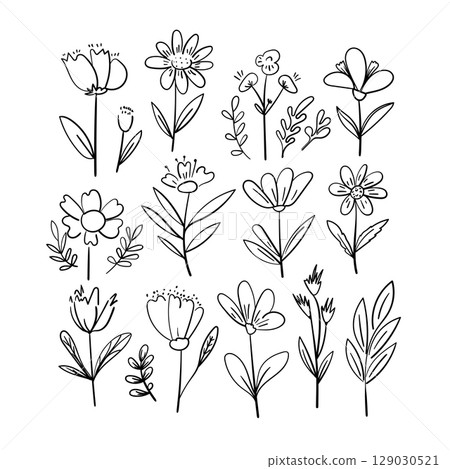 Vector set of hand-drawn outline flowers and plants. Minimal botanical line art collection. Contour floral illustrations for graphic design. Vector set of hand-drawn outline flowers and plants. Minimal botanical line art collection. Contour floral illustrations for graphic design. 129030521