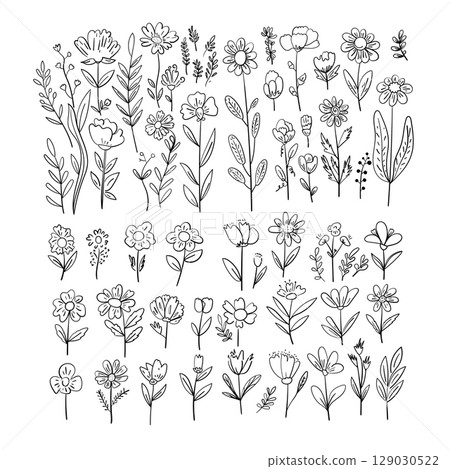 Vector set of hand-drawn outline flowers and plants. Minimal botanical line art collection. Contour floral illustrations for graphic design. Vector set of hand-drawn outline flowers and plants. Minimal botanical line art collection. Contour floral illustrations for graphic design. 129030522