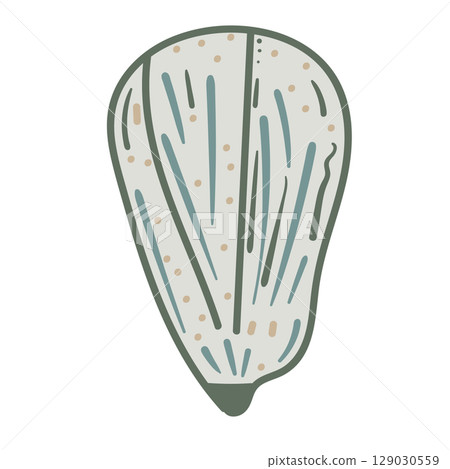 Vector illustration of a single colored sea shell on white background. Elegant drawing for coastal graphic compositions. 129030559
